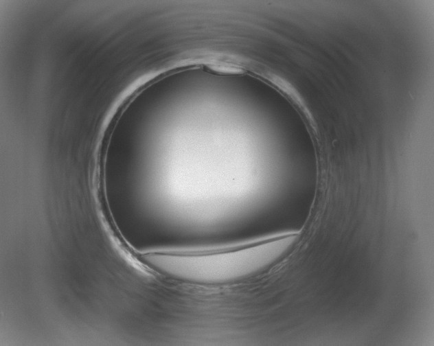 X0000080781136200612151025