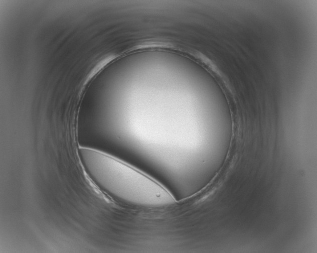 X0000080781137200612151025