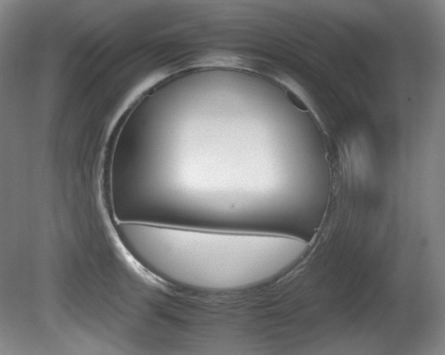 X0000080781139200612151025