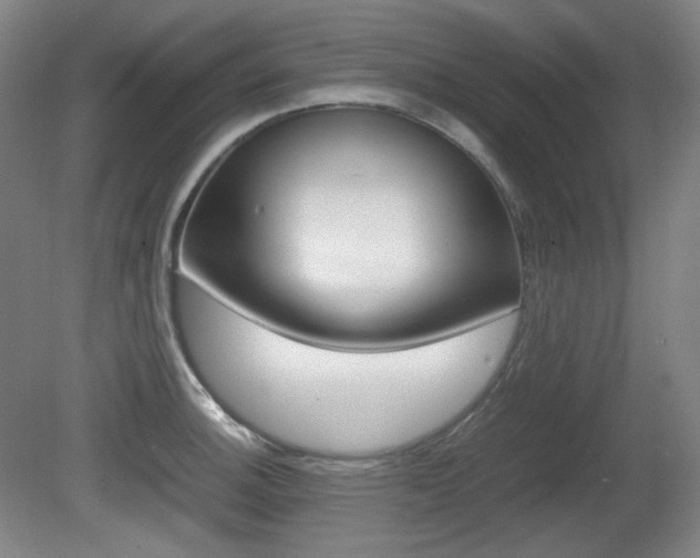 X0000080781140200612151025