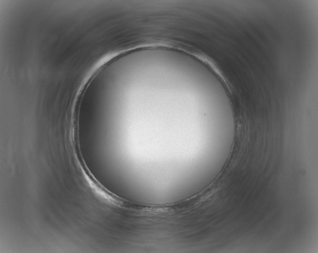 X0000080781143200612151025