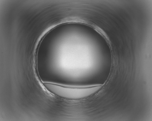 X0000080781144200612151025