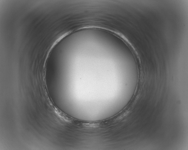 X0000080781145200612151025