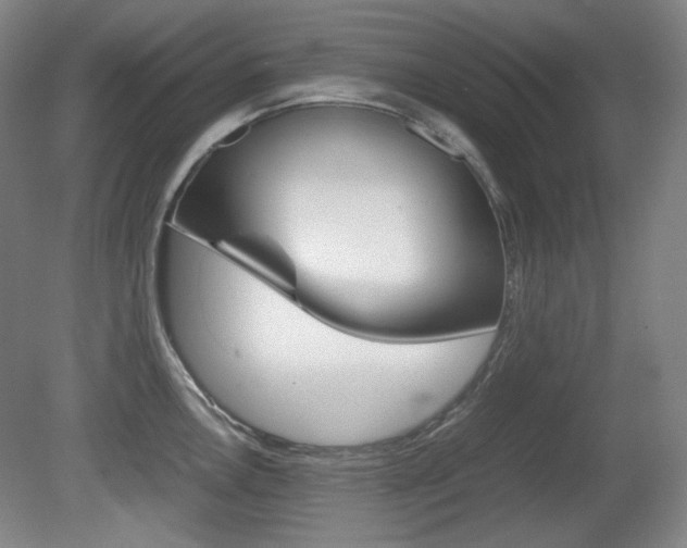 X0000080781146200612151025