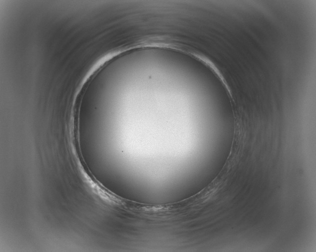 X0000080781147200612151025