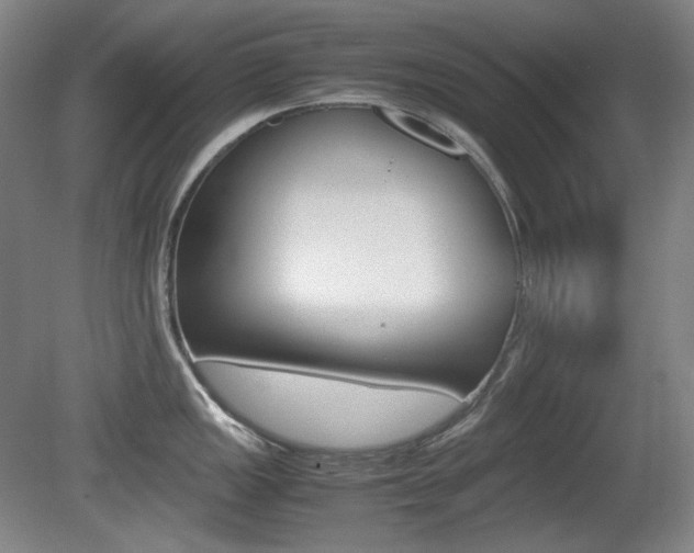X0000080781149200612151025