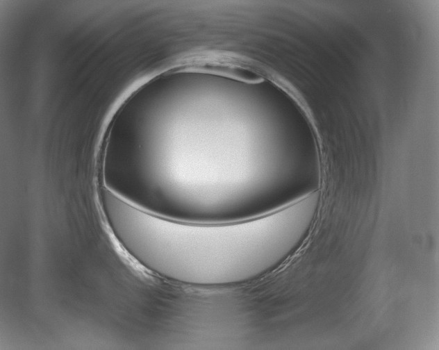 X0000080781152200612151025