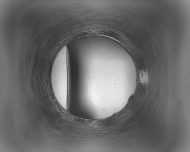 X0000080781155200612151024