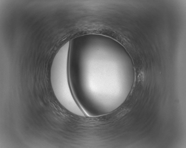 X0000080781156200612151024