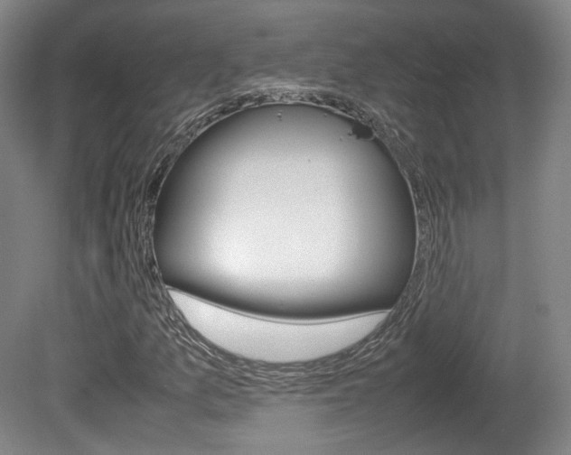 X0000080781157200612151024