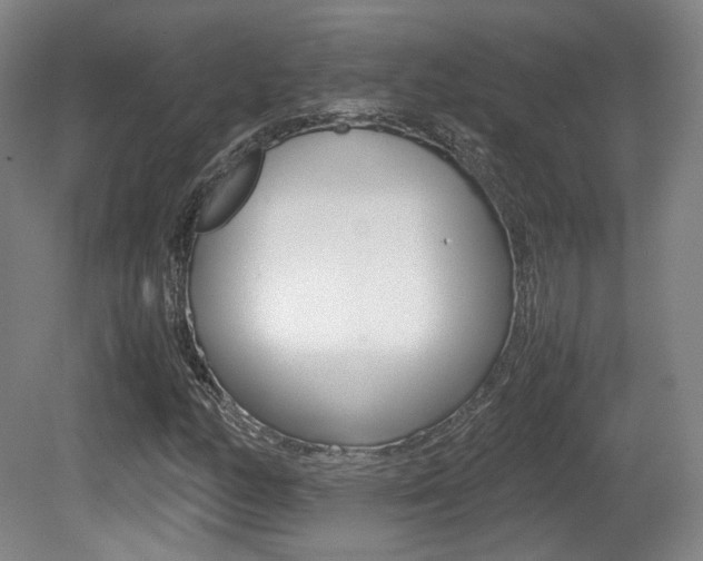 X0000080781158200612151024