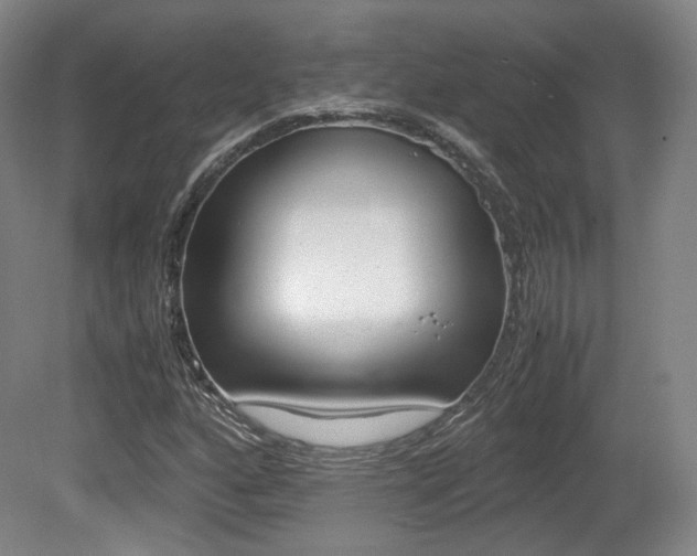 X0000080781160200612151024