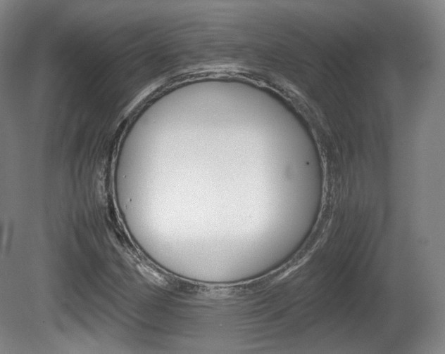 X0000080781162200612151024