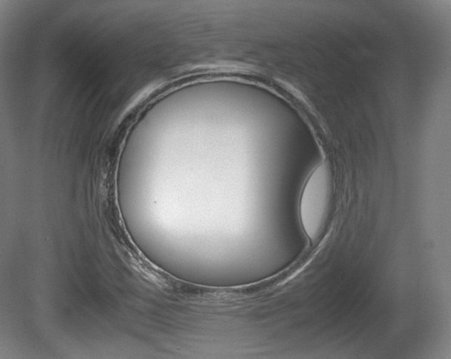 X0000080781163200612151024