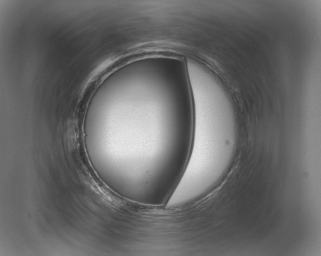 X0000080781164200612151024