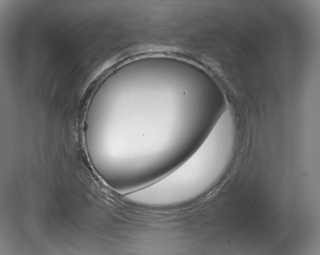 X0000080781165200612151024