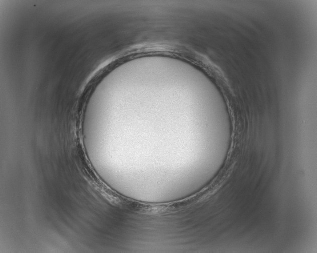 X0000080781166200612151024