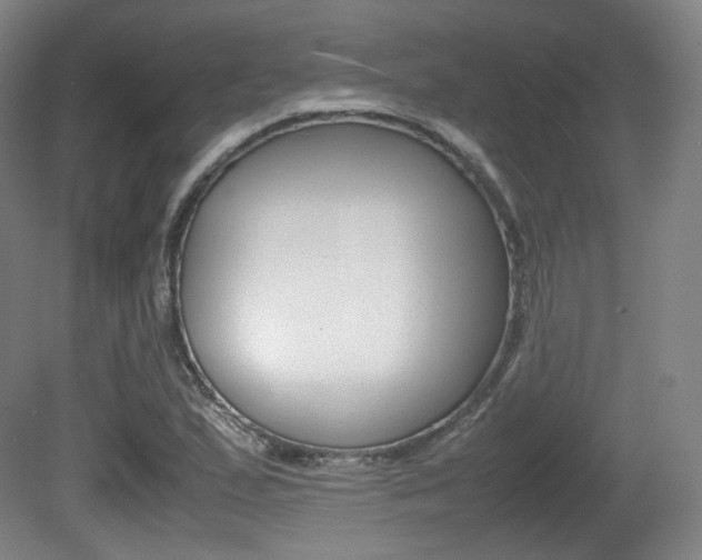 X0000080781167200612151024