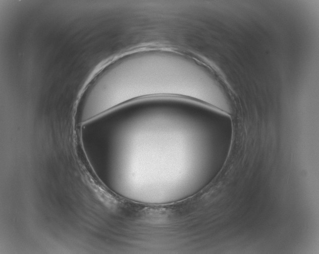 X0000080781168200612151024