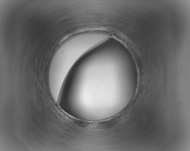 X0000080781169200612151024