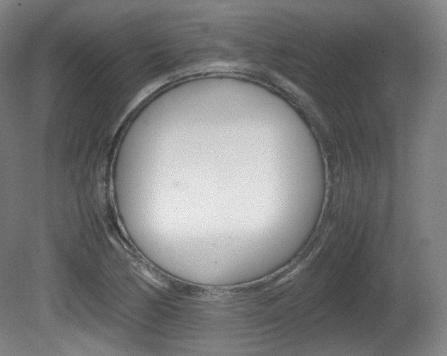 X0000080781170200612151024
