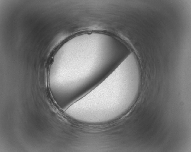 X0000080781171200612151024