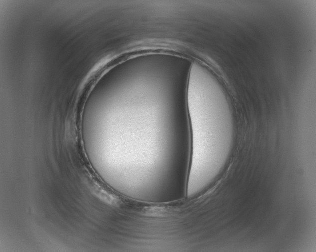 X0000080781172200612151024