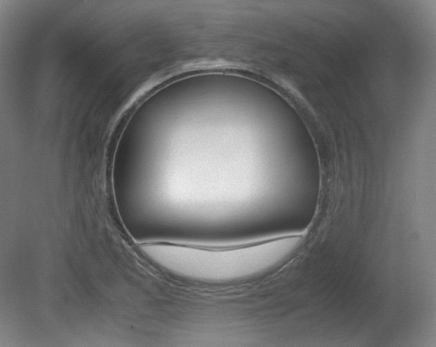 X0000080781173200612151024