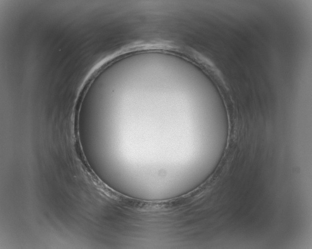 X0000080781174200612151024