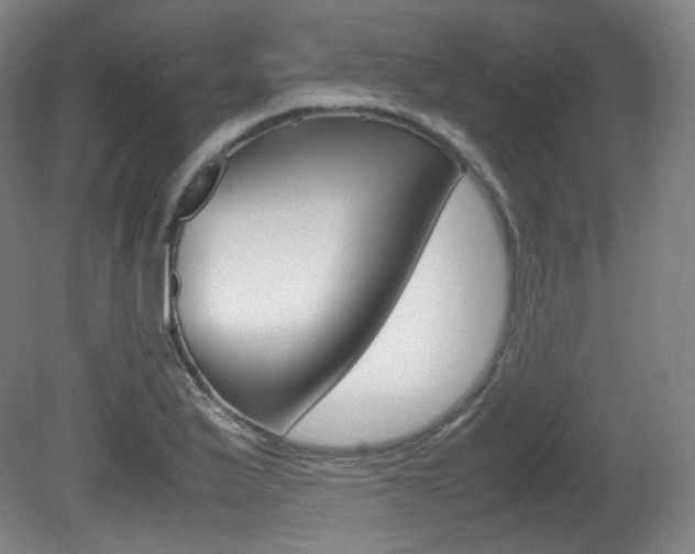X0000080781175200612151024