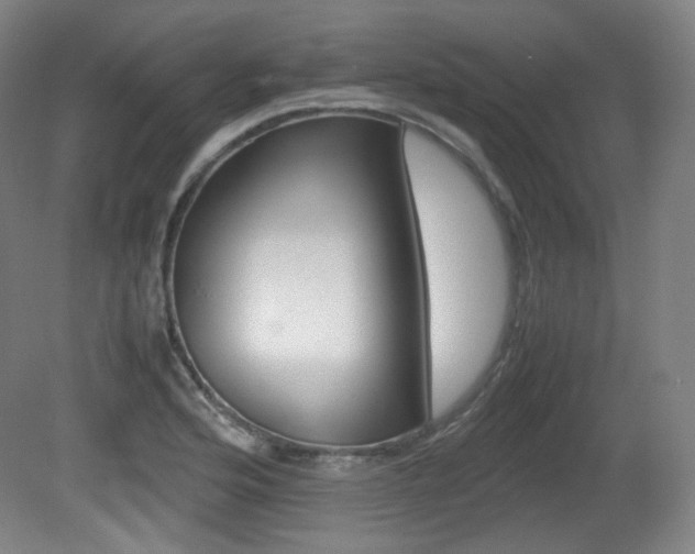 X0000080781176200612151024