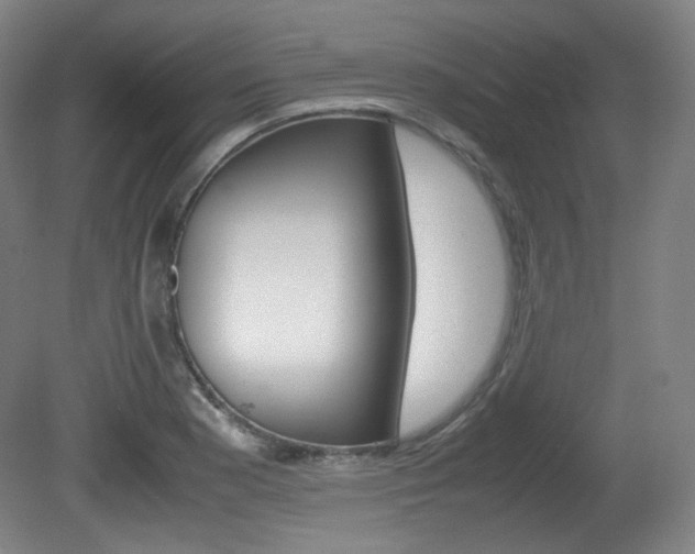 X0000080781177200612151024