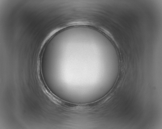 X0000080781179200612151024