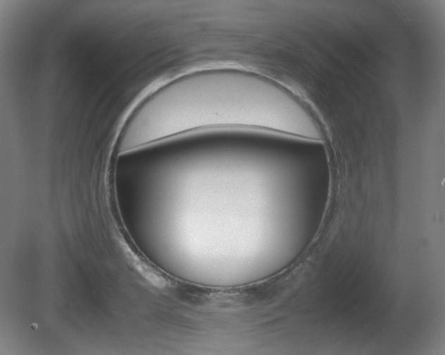 X0000080781181200612151024