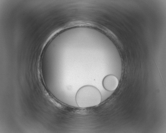 X0000080781182200612151024