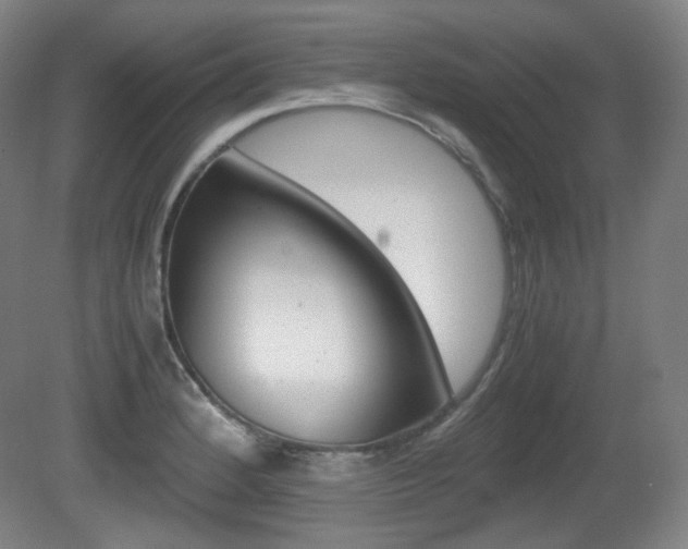 X0000080781184200612151024