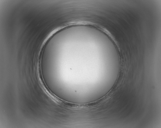 X0000080781187200612151024