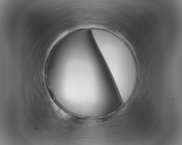 X0000080781189200612151024