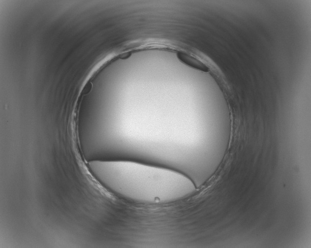 X0000080781190200612151024