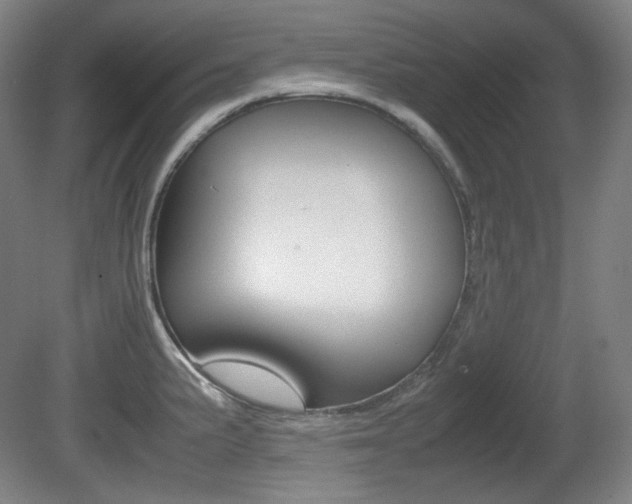 X0000080781191200612151024