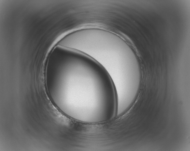 X0000080781192200612151024