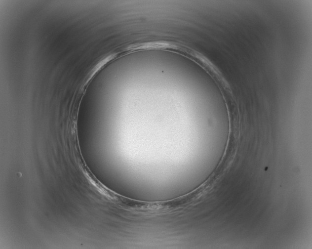 X0000080781193200612151024