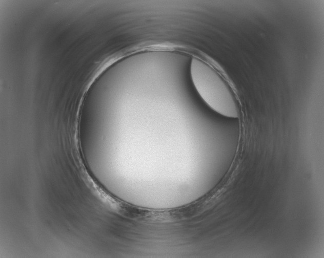 X0000080781194200612151024
