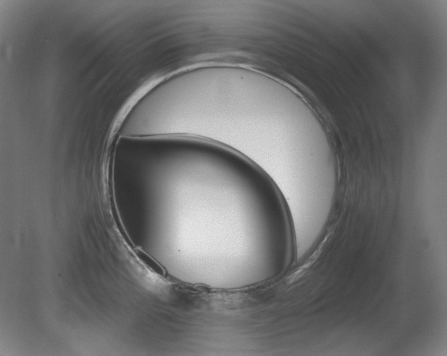 X0000080781196200612151024