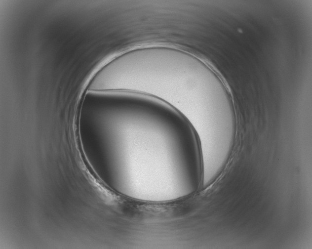 X0000080781197200612151024