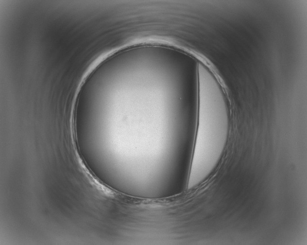 X0000080781199200612151024