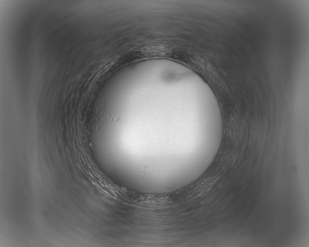 X0000080781201200612151023