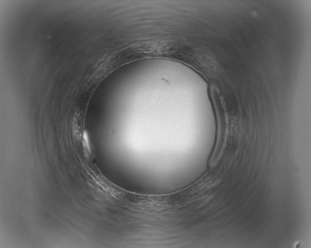 X0000080781202200612151023