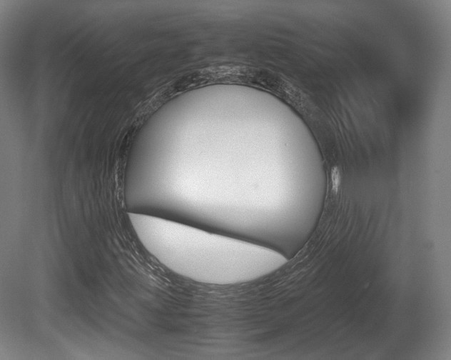 X0000080781203200612151023