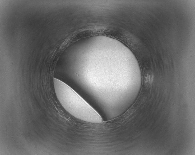 X0000080781204200612151023